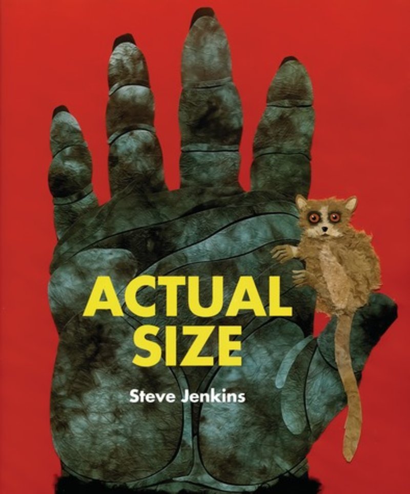 actual-size-steve-jenkins